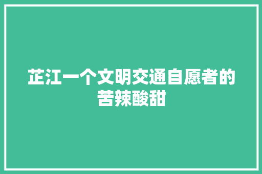 芷江一个文明交通自愿者的苦辣酸甜