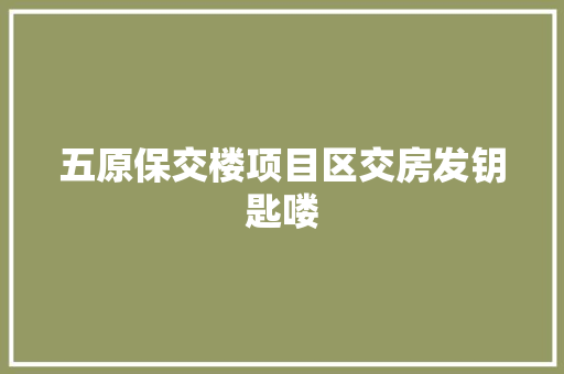 五原保交楼项目区交房发钥匙喽