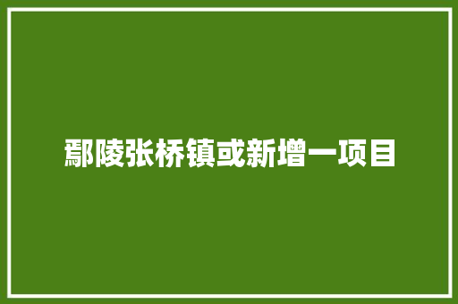 鄢陵张桥镇或新增一项目