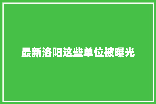 最新洛阳这些单位被曝光
