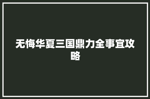 无悔华夏三国鼎力全事宜攻略