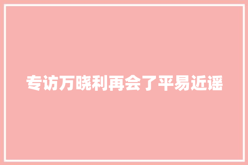专访万晓利再会了平易近谣