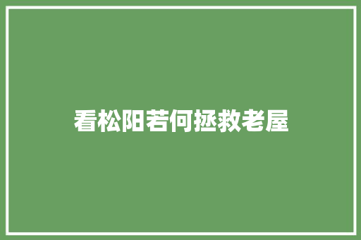 看松阳若何拯救老屋