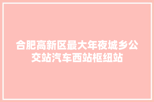 合肥高新区最大年夜城乡公交站汽车西站枢纽站