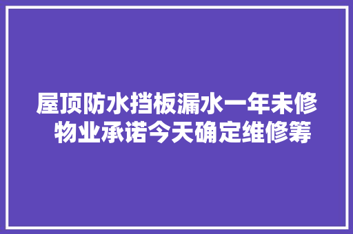 屋顶防水挡板漏水一年未修  物业承诺今天确定维修筹划