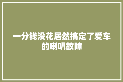 一分钱没花居然搞定了爱车的喇叭故障