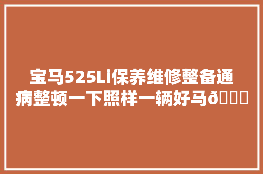 宝马525Li保养维修整备通病整顿一下照样一辆好马🐎