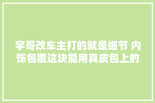 宇哥改车主打的就是细节 内饰包覆这块能用真皮包上的 绝