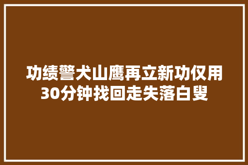 功绩警犬山鹰再立新功仅用30分钟找回走失落白叟