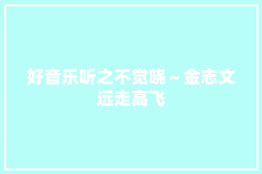 好音乐听之不觉晓～金志文远走高飞