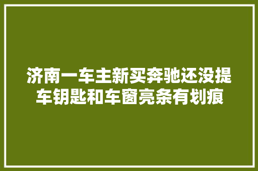 济南一车主新买奔驰还没提车钥匙和车窗亮条有划痕