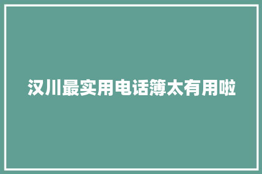汉川最实用电话簿太有用啦