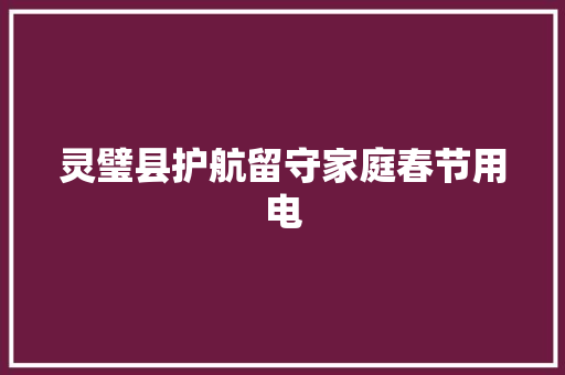 灵璧县护航留守家庭春节用电
