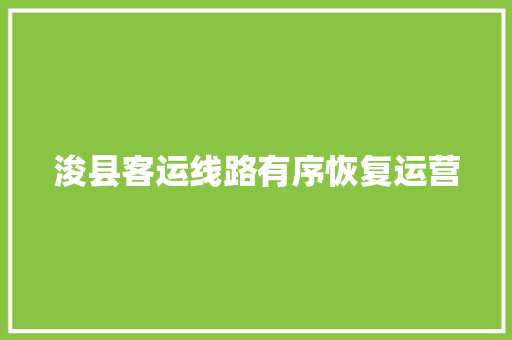 浚县客运线路有序恢复运营