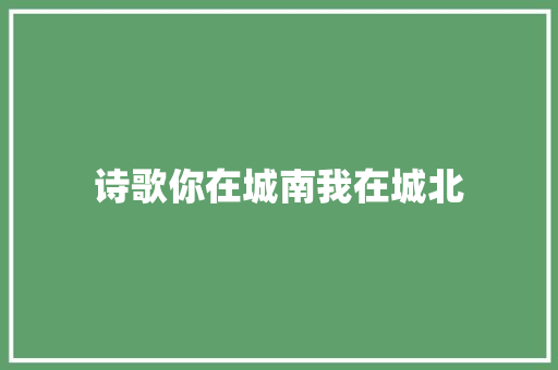 诗歌你在城南我在城北