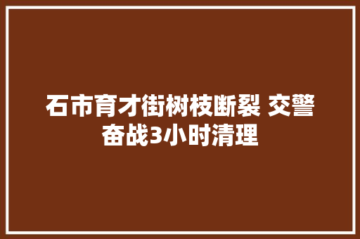石市育才街树枝断裂 交警奋战3小时清理
