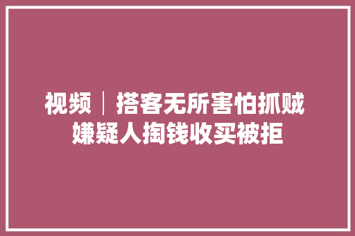 视频│搭客无所害怕抓贼 嫌疑人掏钱收买被拒