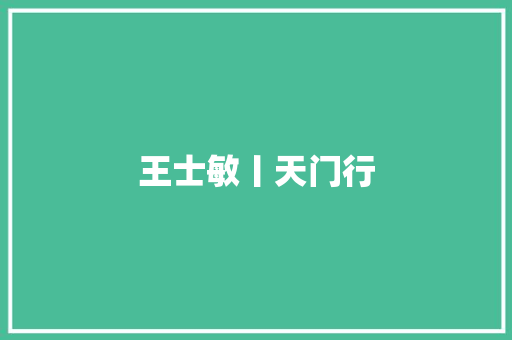 王士敏丨天门行
