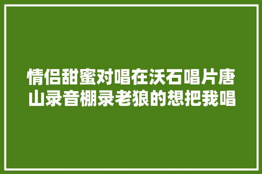 情侣甜蜜对唱在沃石唱片唐山录音棚录老狼的想把我唱给你听