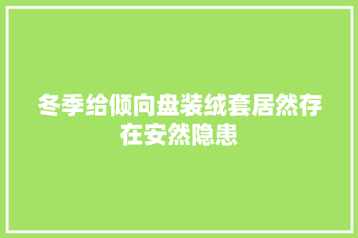 冬季给倾向盘装绒套居然存在安然隐患