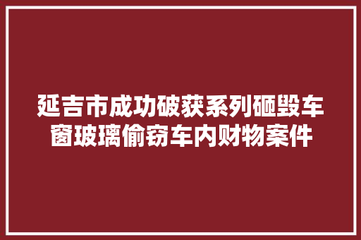 延吉市成功破获系列砸毁车窗玻璃偷窃车内财物案件