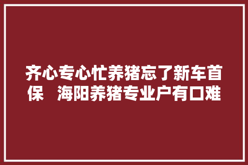 齐心专心忙养猪忘了新车首保   海阳养猪专业户有口难言