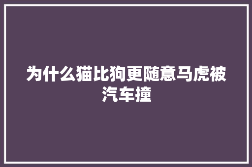 为什么猫比狗更随意马虎被汽车撞