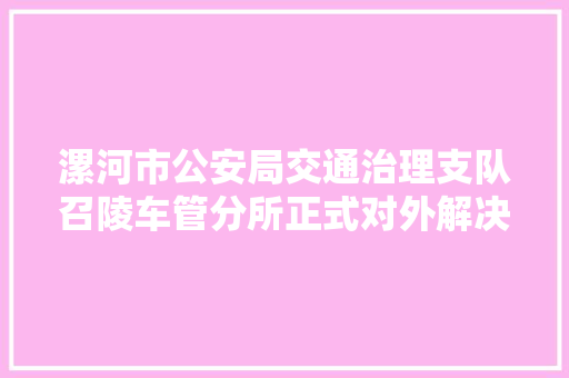 漯河市公安局交通治理支队召陵车管分所正式对外解决营业