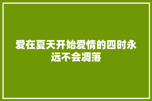 爱在夏天开始爱情的四时永远不会凋落
