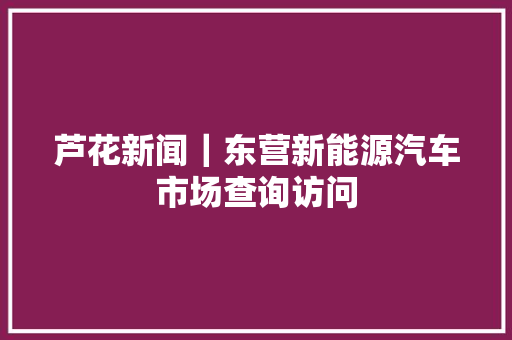 芦花新闻｜东营新能源汽车市场查询访问