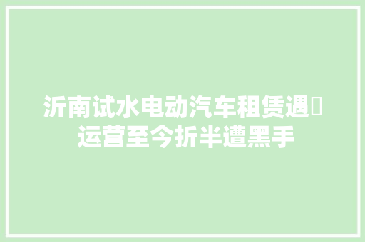 沂南试水电动汽车租赁遇囧 运营至今折半遭黑手