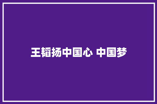 王韬扬中国心 中国梦