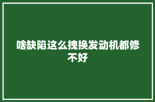 啥缺陷这么拽换发动机都修不好