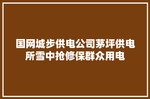 国网城步供电公司茅坪供电所雪中抢修保群众用电