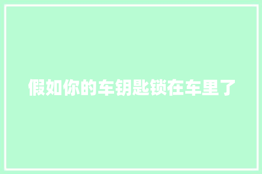 假如你的车钥匙锁在车里了