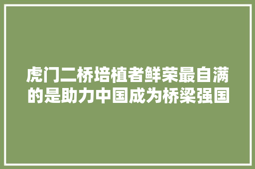 虎门二桥培植者鲜荣最自满的是助力中国成为桥梁强国