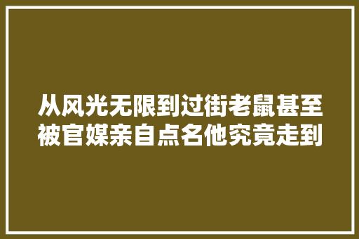 从风光无限到过街老鼠甚至被官媒亲自点名他究竟走到了今天
