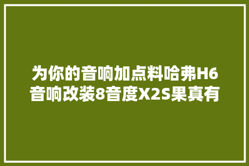 为你的音响加点料哈弗H6音响改装8音度X2S果真有料
