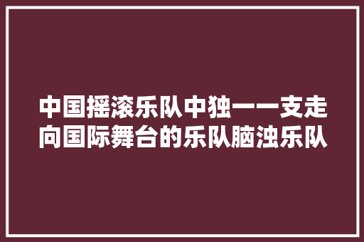 中国摇滚乐队中独一一支走向国际舞台的乐队脑浊乐队