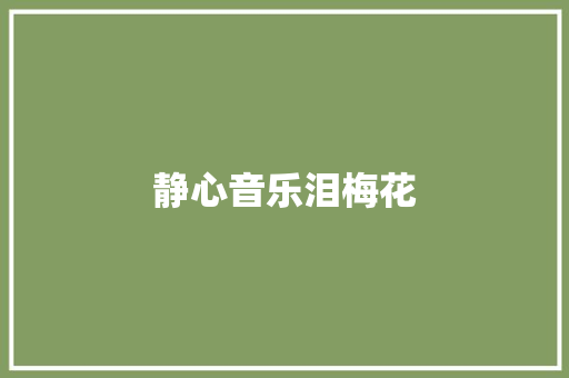 静心音乐泪梅花