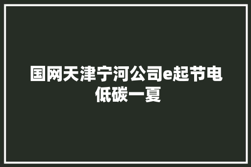 国网天津宁河公司e起节电 低碳一夏