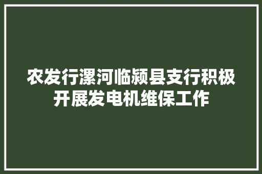 农发行漯河临颍县支行积极开展发电机维保工作