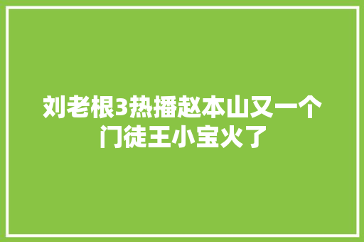 刘老根3热播赵本山又一个门徒王小宝火了