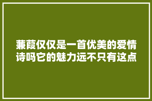 蒹葭仅仅是一首优美的爱情诗吗它的魅力远不只有这点