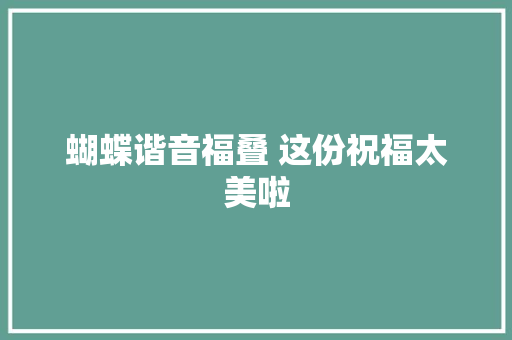 蝴蝶谐音福叠 这份祝福太美啦 休闲娱乐