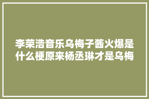 李荣浩音乐乌梅子酱火爆是什么梗原来杨丞琳才是乌梅子酱本人
