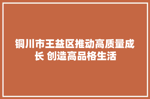 铜川市王益区推动高质量成长 创造高品格生活