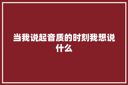 当我说起音质的时刻我想说什么