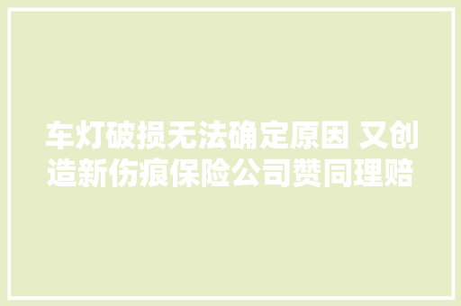 车灯破损无法确定原因 又创造新伤痕保险公司赞同理赔