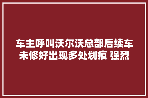 车主呼叫沃尔沃总部后续车未修好出现多处划痕 强烈要求返厂检修｜鹰眼